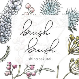 brush brush (shiho sakurai)