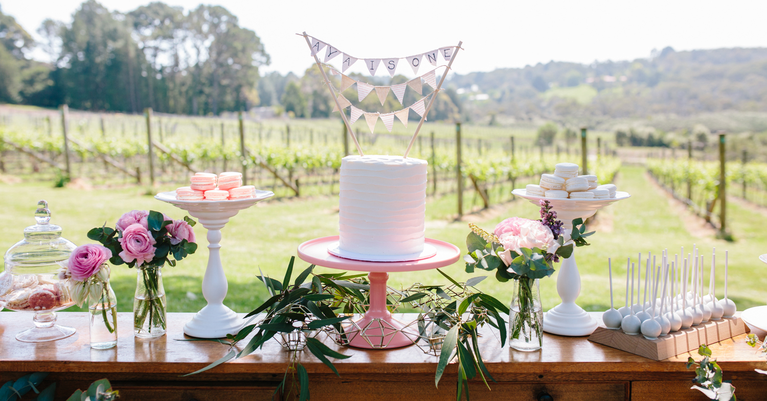 FIRST BIRTHDAY IN A RUSTIC VINEYARD