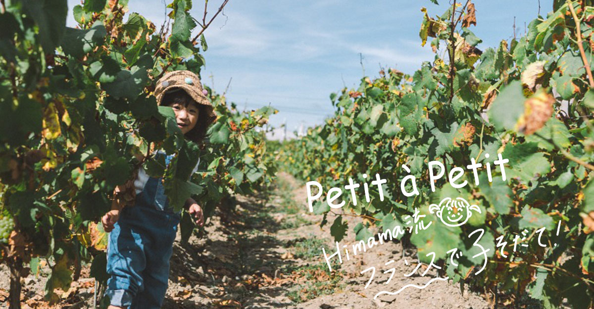 フランス在住ママ連載｜食育体験。初めてのワインブドウ収穫
