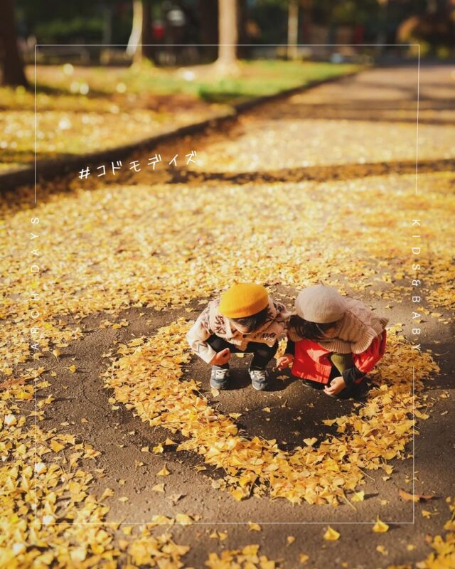 【日常を愛しく残す #コドモデイズ 📷✨ 】
公園にいくと、落ち葉の絨毯が綺麗で思わず写真を撮りたくなる季節ですね🍁
さて今回は、みんなの「秋のおでかけフォト」をご紹介します！

1枚目: 綺麗な黄色が嬉しい季節(kako.365さん)
2枚目: 秋服のコーデが捗る今日この頃🍂(@chobi.natsu0912さん)
3枚目: はい、チーズ 📷 ˊ(@hii_2909さん)
4枚目: 細長いベンチに座れない𝟤人のベスポジはこちら👶🏻👶🏻(@u_i.baby さん)
5枚目: 恐竜の森で大冒険！🌳(@aa.a.a.4 さん)
6枚目: 顔よりも大きな落ち葉みーっけ🍁(@chi.t.a.i.chi さん)
7枚目: 仲良し親子とおしゃピク🧺(@jasmine____nona さん)
8枚目: 爽やかな秋空が恋しい季節に💓(@30.graph さん)
9枚目: 暖かい土曜日の優しい夕暮れ(@m.e.b.4.29 さん)
10枚目: 落ち葉とはじめましてした日🍂 (@bab_ynco さん)

みなさん、素敵なお写真ありがとうございました✨

━━━━━━━━━━━━━━━━
＼キュンとするお子さんの日常写真大募集📸／

「#コドモデイズ 」をつけて投稿するだけで応募完了！
ポストいただいた中から厳選して、素敵なお写真をこちらのアカウントでご紹介させていただきます✨
沢山のご応募お待ちしています♩
⁡━━━━━━━━━━━━━━━━
⁡⁡
▽ARCH DAYSトップページはこちらからチェック
@archdays　プロフィールのリンクから
⁡
▽ウェディング情報は姉妹アカウント
@archdays_weddings
⁡

#落ち葉アート #秋ピクニック #秋のおでかけ #公園あそび #赤ちゃんとお出かけ #子どもの日常をもっと写真に#何気ない瞬間を残したい #愛すべき日常を写真で残そう#ママカメラ#成長記録 #日常の風景 #日常の一コマ #赤ちゃんのいる暮らし #赤ちゃんのいる生活 #こどものいる暮らし #こどものいる生活 #子どものいる暮らし #コドモデイズ #archdays